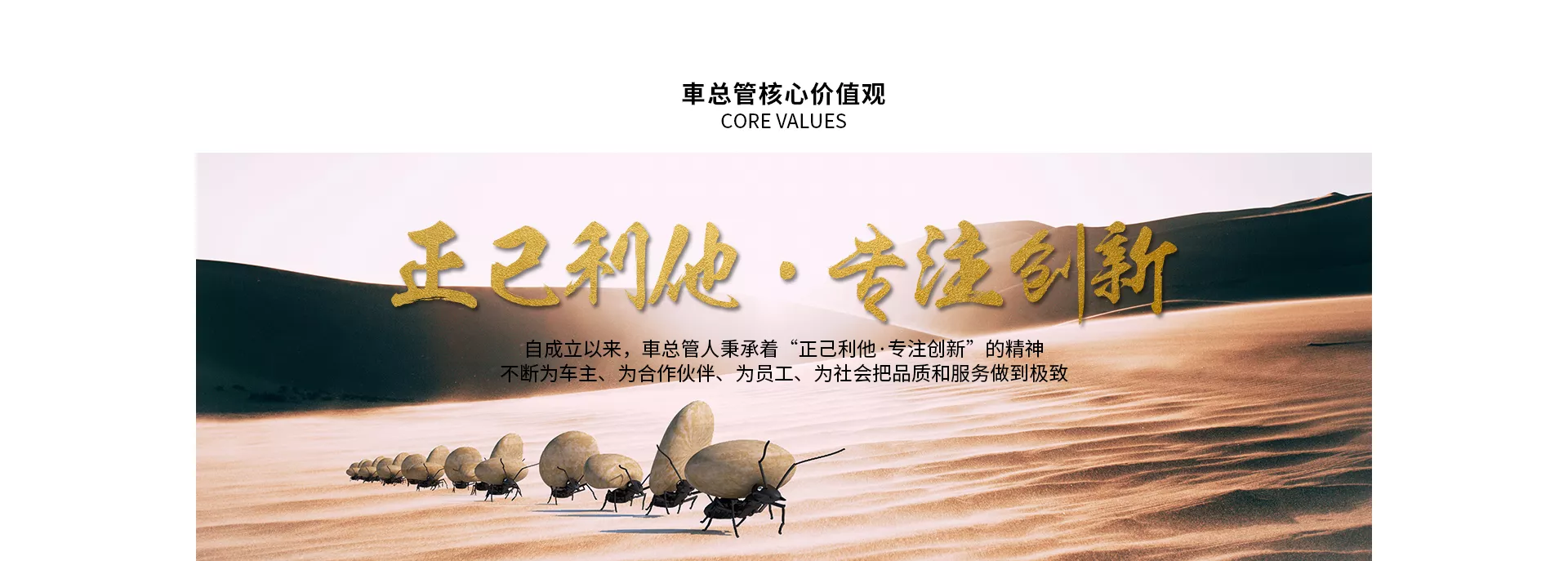 【秘书长单位】浙江车总管品牌管理有限公司(图10)