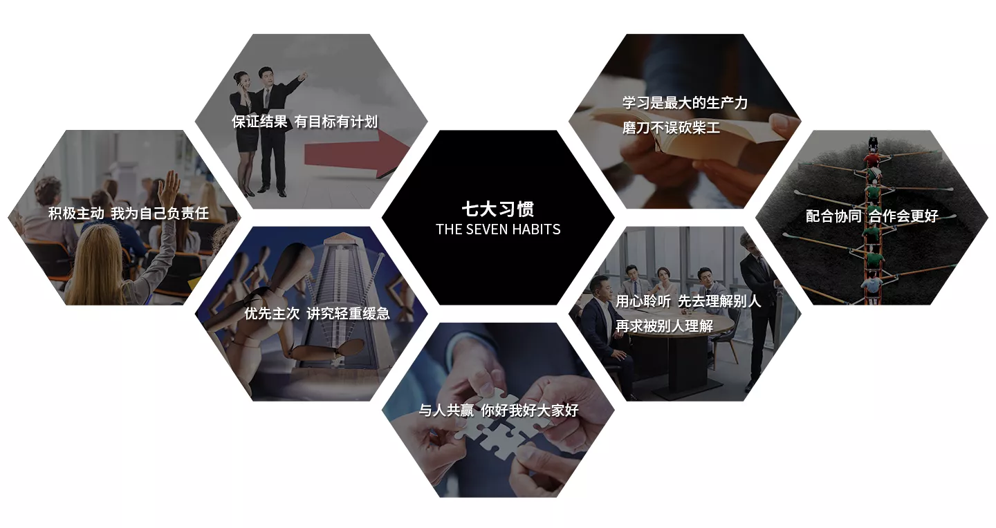 【秘书长单位】浙江车总管品牌管理有限公司(图15)