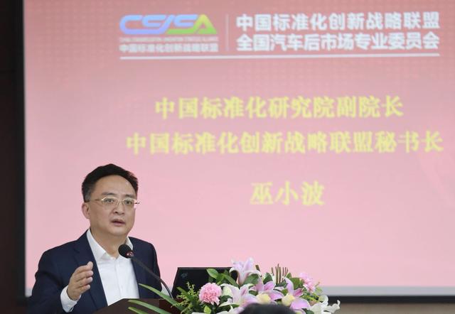 中国标准化创新战略联盟专业委员会成立