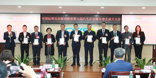 中国标准化创新战略联盟专业委员会成立