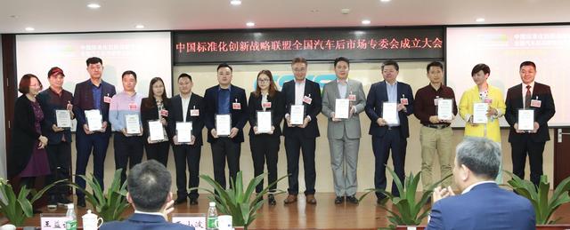 中国标准化创新战略联盟专业委员会成立