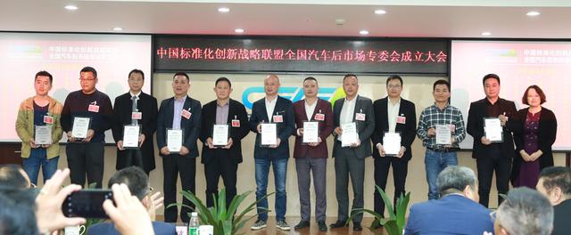 中国标准化创新战略联盟专业委员会成立